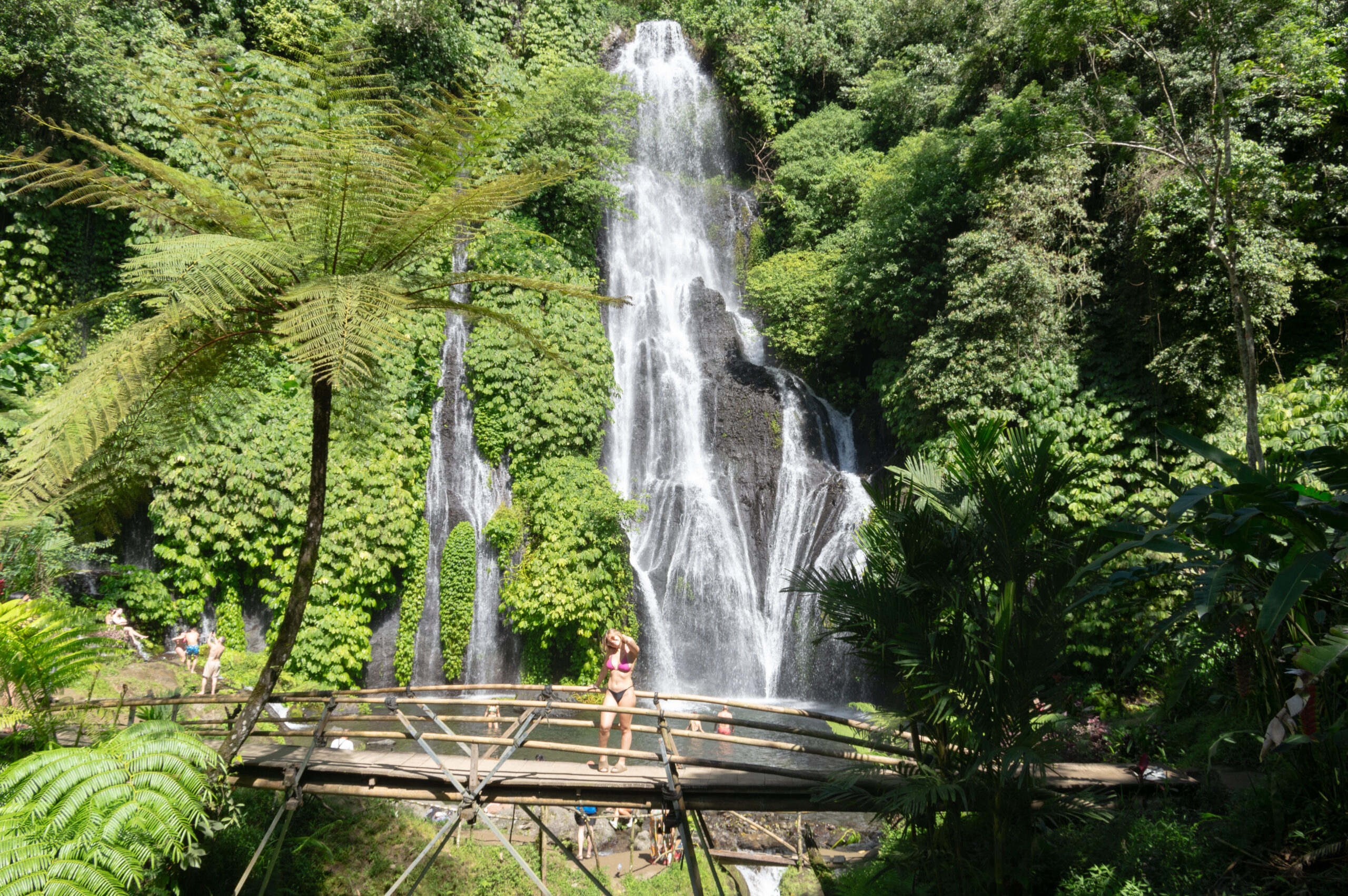 Banyumala Waterfall, Tamblingan Rain Forest Trek, and Canoeing