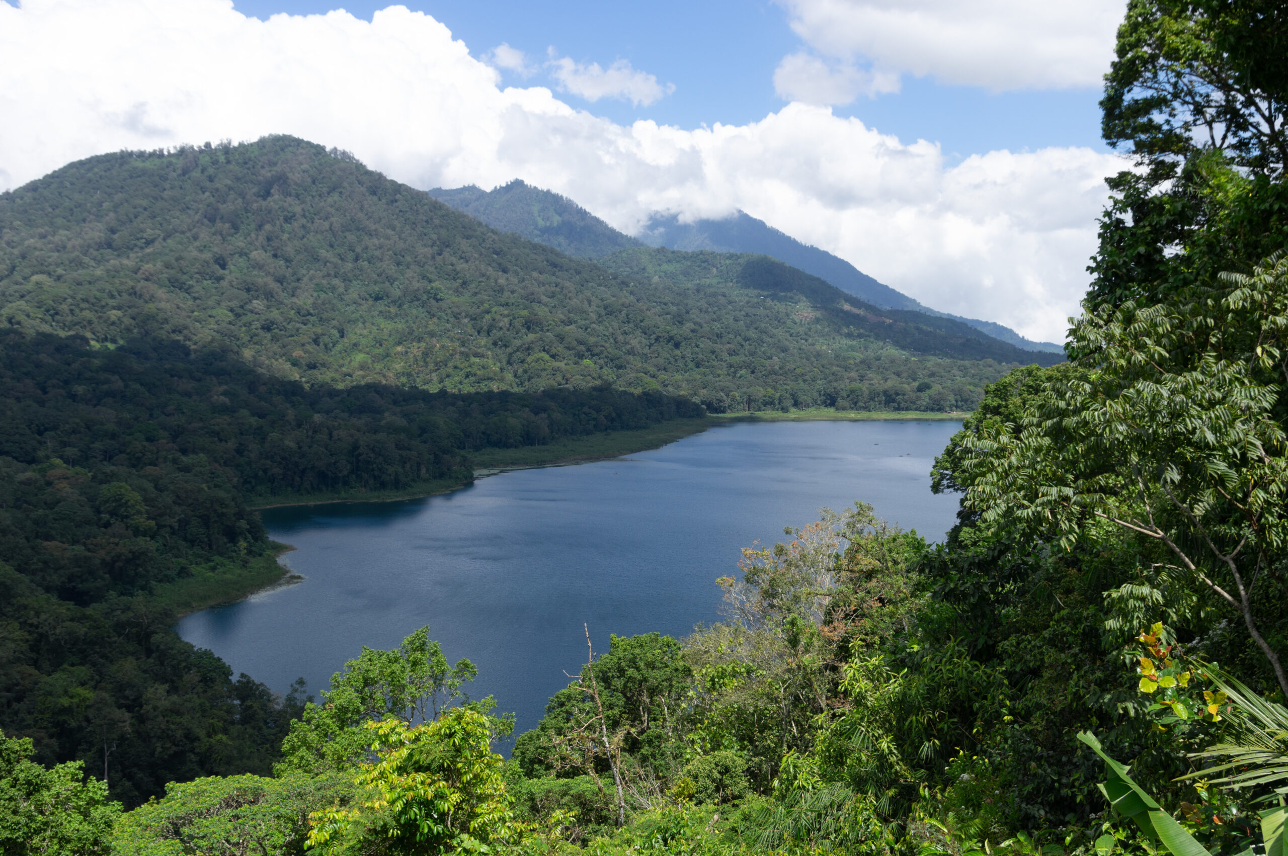 Banyumala Waterfall, Tamblingan Rain Forest Trek, and Canoeing