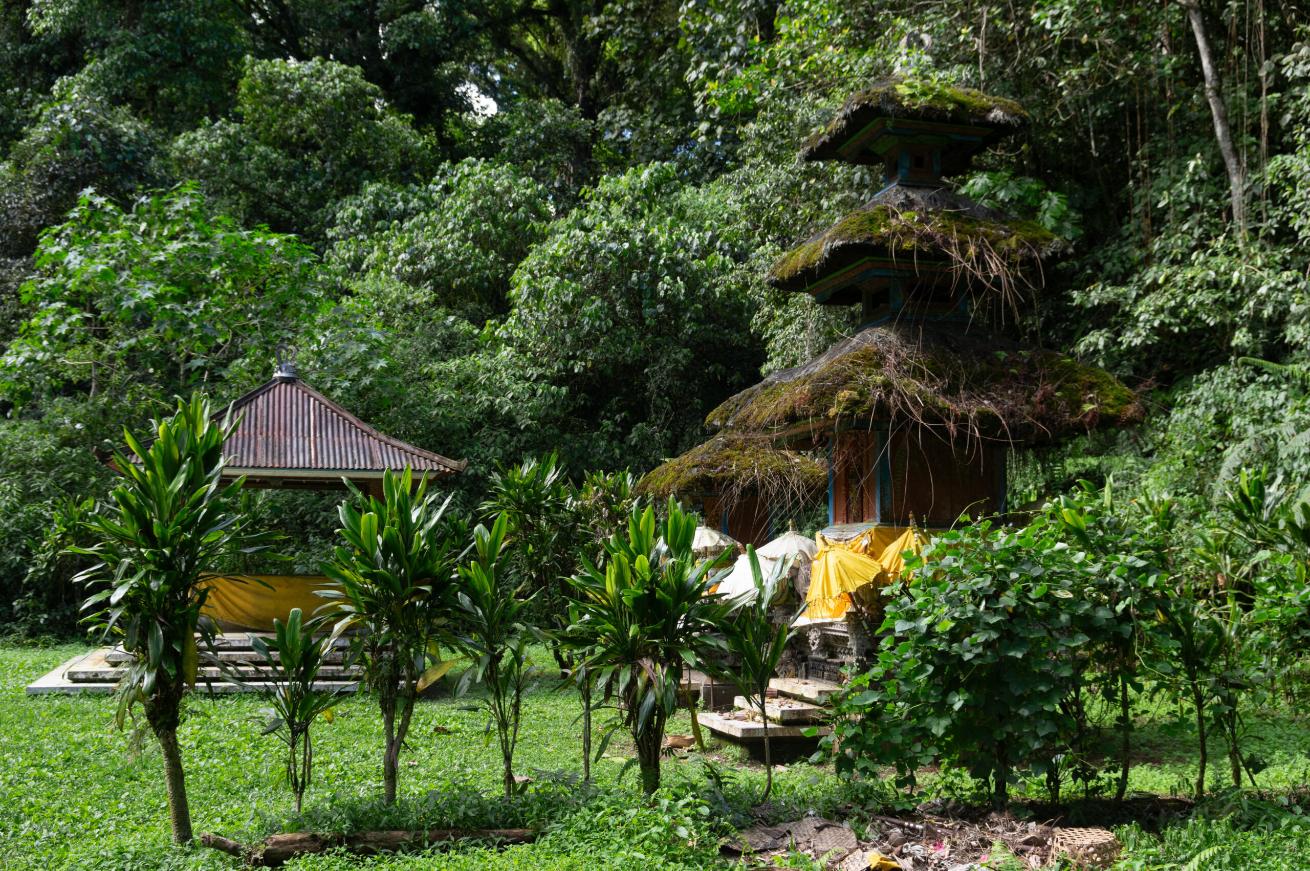 Banyumala Waterfall, Tamblingan Rain Forest Trek, and Canoeing