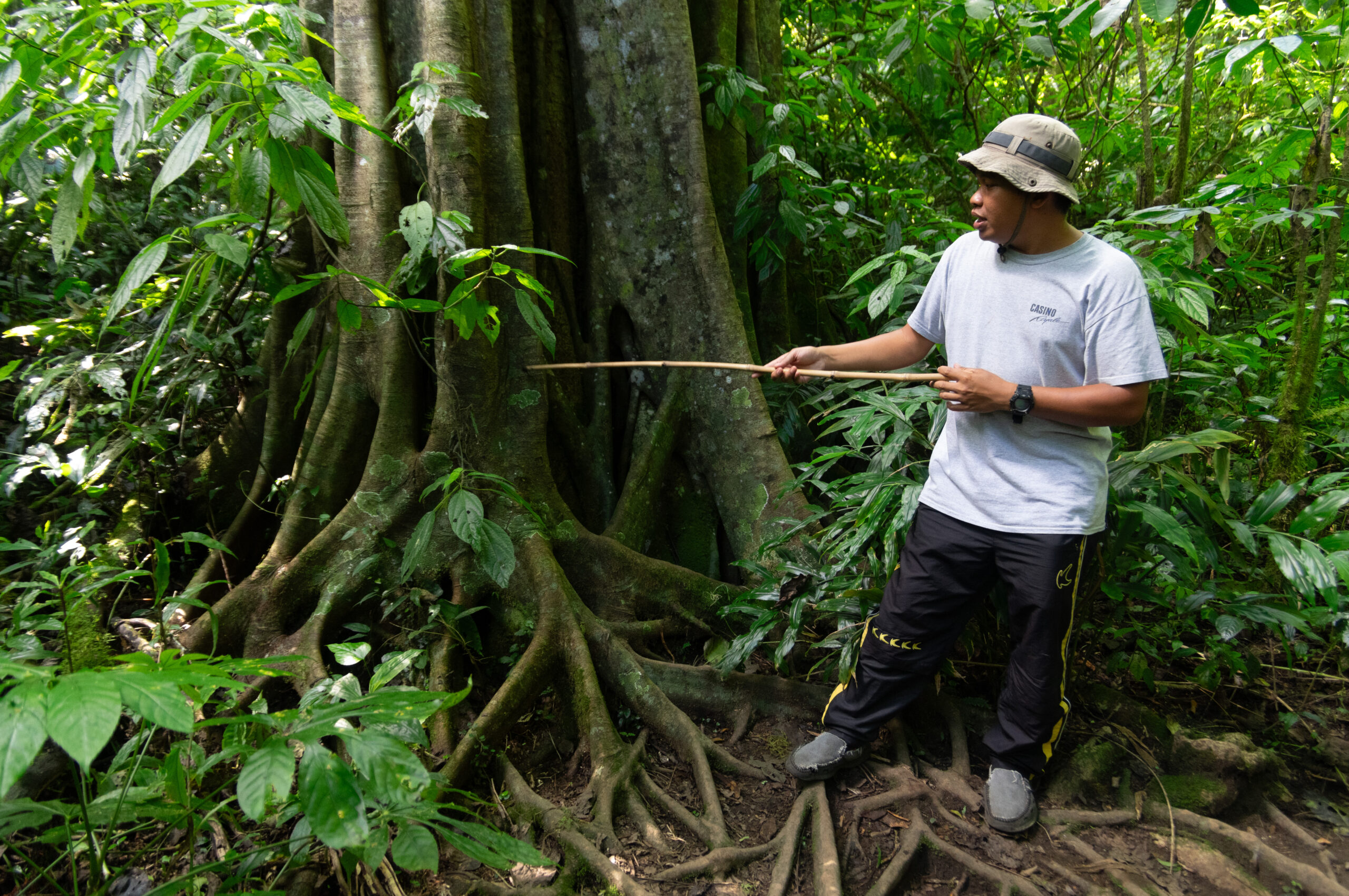 Banyumala Waterfall, Tamblingan Rain Forest Trek, and Canoeing