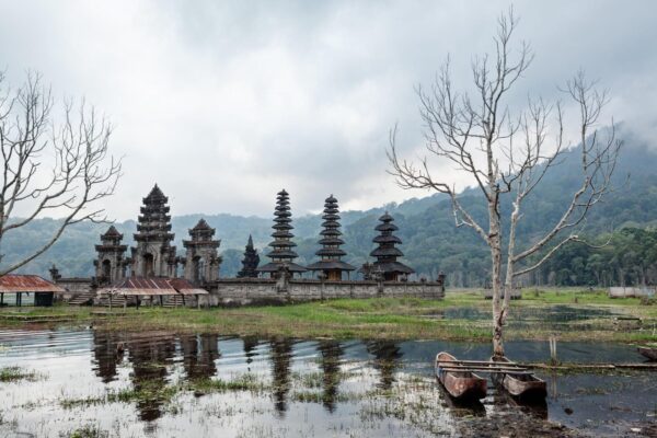 Banyumala Waterfall, Tamblingan Rain Forest Trek, and Canoeing