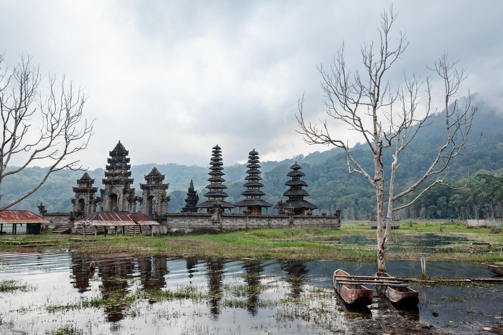 Banyumala Waterfall, Tamblingan Rain Forest Trek, and Canoeing