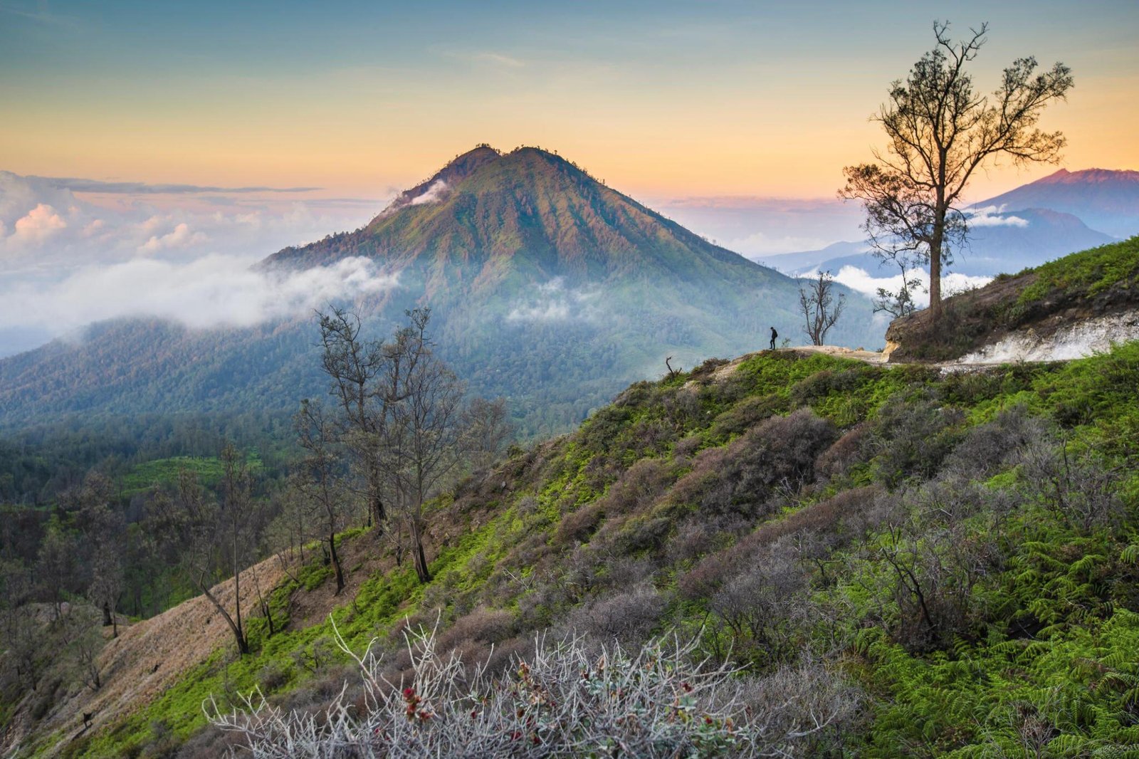 Ijen Crater Adventure: Blue Fire Trekking and Sunrise Experience