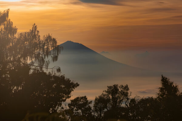 Mount Batukaru Tours